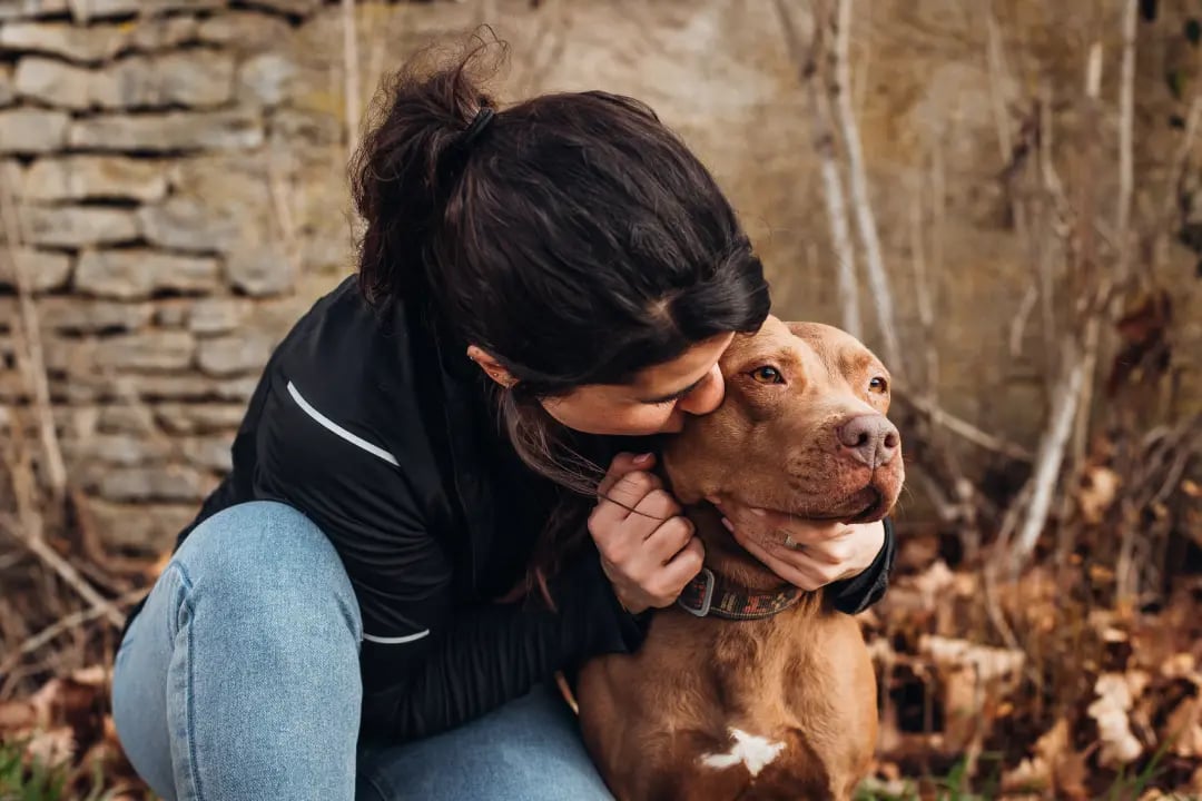 Dog img